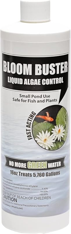 best fish pond algae removers