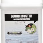best farm pond algae controls