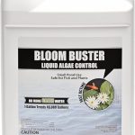 best algae controls for ponds