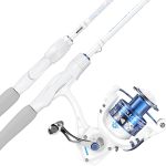 best fishing rods for trout and bass