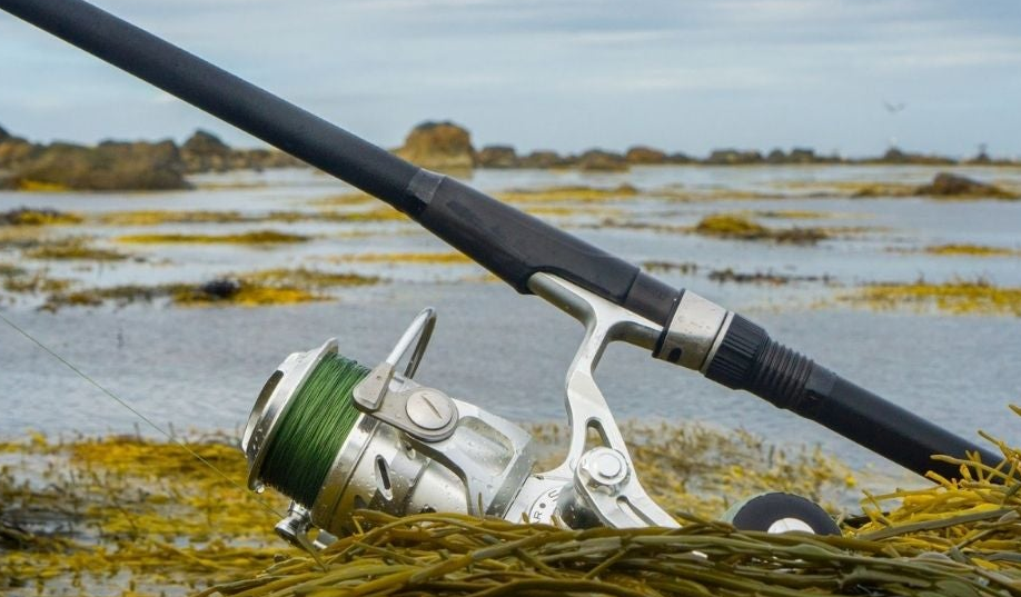 Best Braided Fishing Lines For Surf Fishing