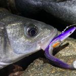 Best Baits For Fishing At Night