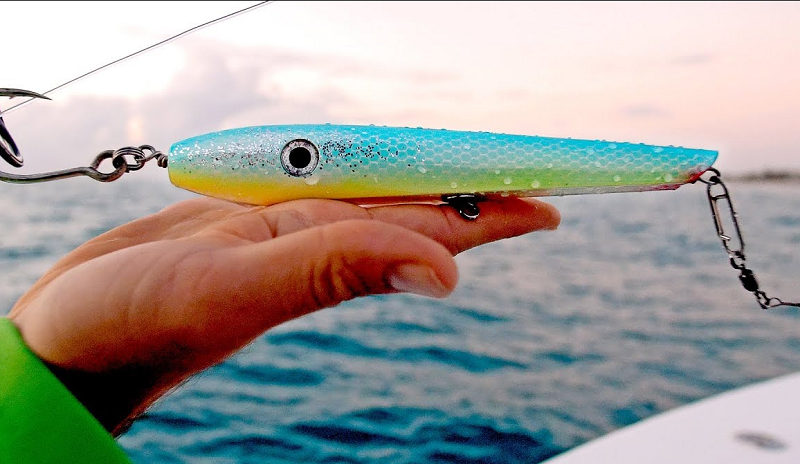 Best Baits For Shark Fishing