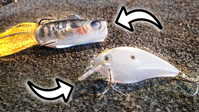 Best Baits For Shore Fishing