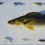 Best Baits For Walleye Ice Fishing