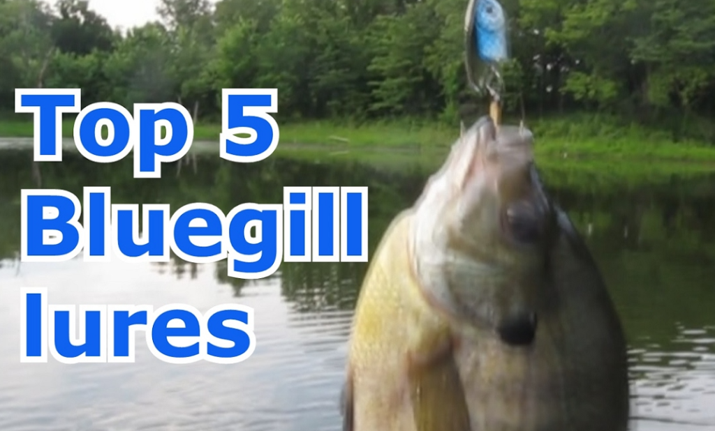 Best Bluegill Fishing Lures