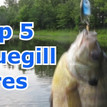 Best Bluegill Fishing Lures
