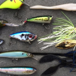 Best Fishing Lures For Fall Bass