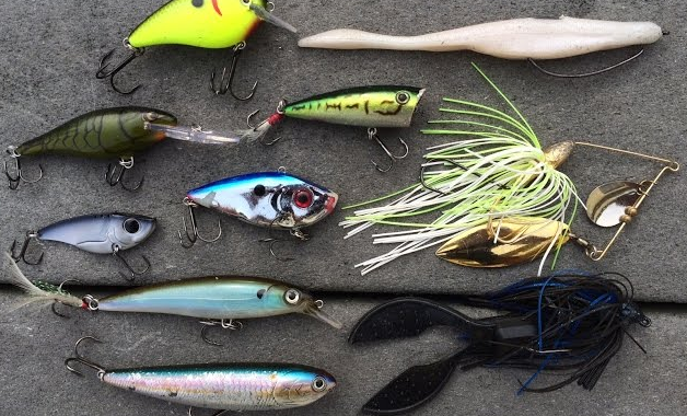 Best Fishing Lures For Fall Bass