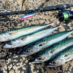 Best Fishing Lures For Mackerel