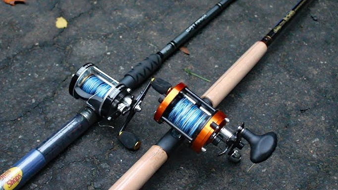 Best Fishing Rods For Catfish