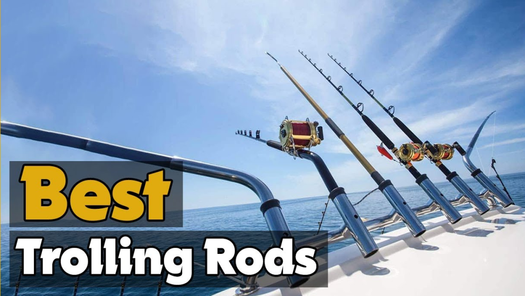 Best Trolling Fishing Rods