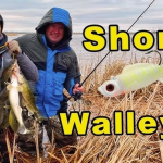 Best Walleye Lures For Shore Fishing