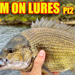 5 Best Baits For Bream Fishing