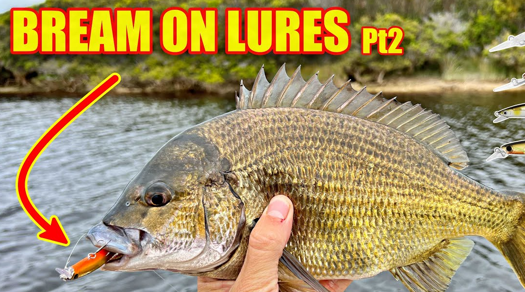5 Best Baits For Bream Fishing