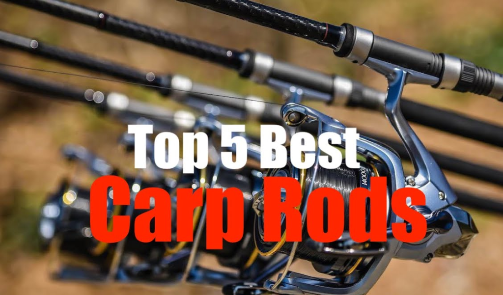 best carp fishing rods