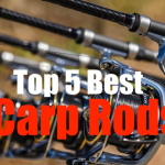 best carp fishing rods