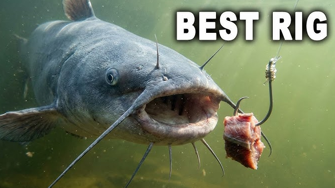 best catfish rigs for river fishing