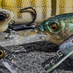 best fall fishing baits
