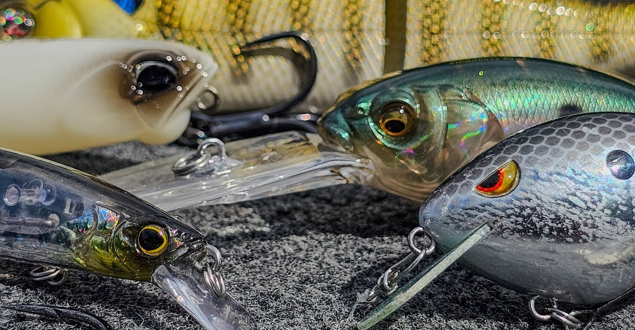 best fall fishing baits