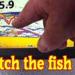 best fish finders for catfish