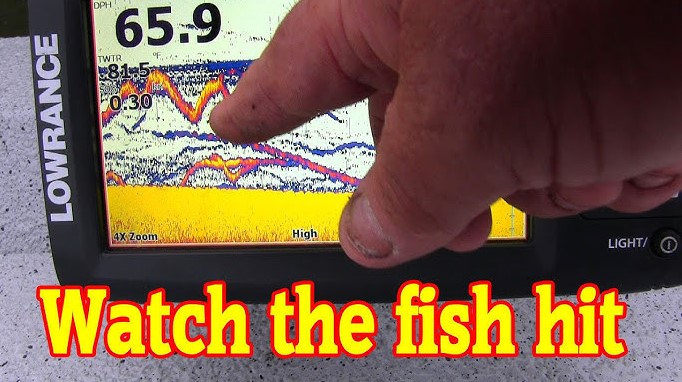 best fish finders for catfish
