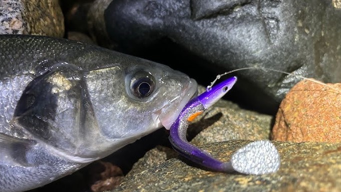 best fishing baits for saltwater