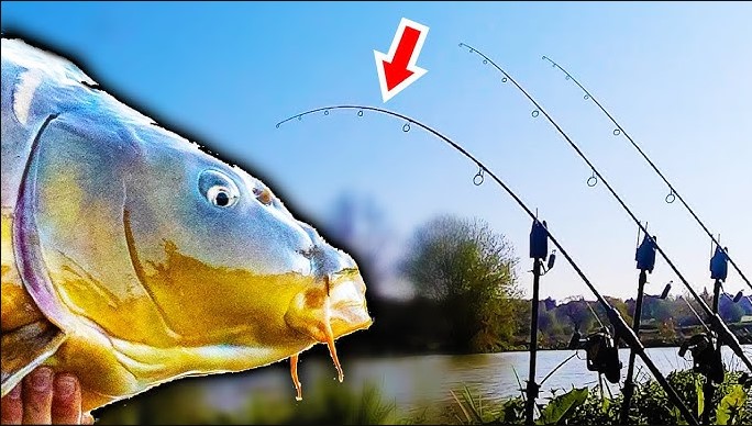 best fishing lines for carp