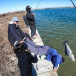 best fishing lines for redfish and speckled trout