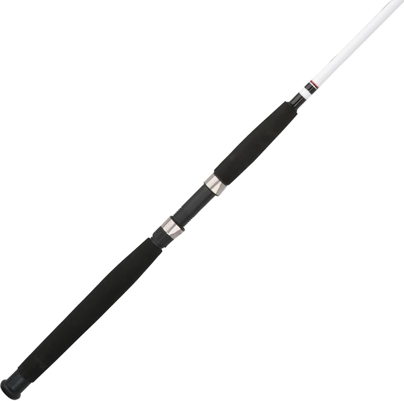 Berkley Big Game Spinning Fishing Rod for Fresh and Saltwater Use