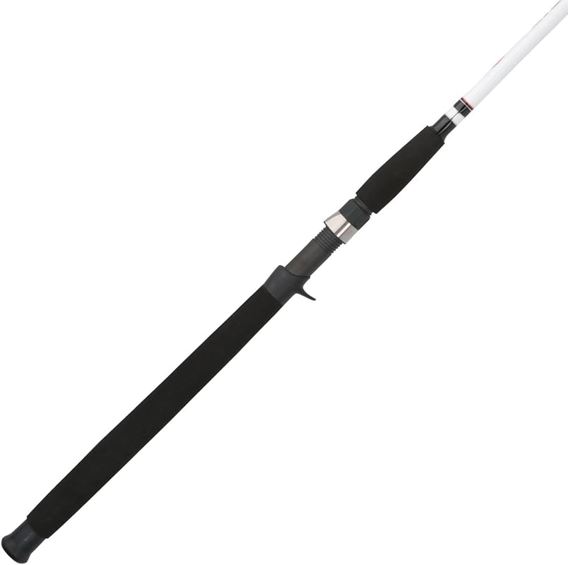 best fishing rods for big fish
