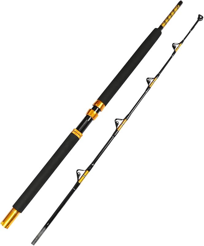 Best Tuna Fishing Rods