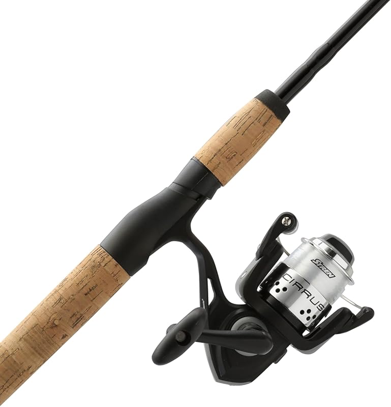 best spinning rods for bass fishing