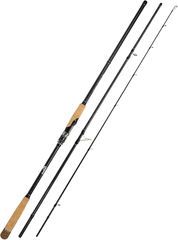 Carbon Fiber Spinning Rods with Saltwater Resistant Guides, Portable 2