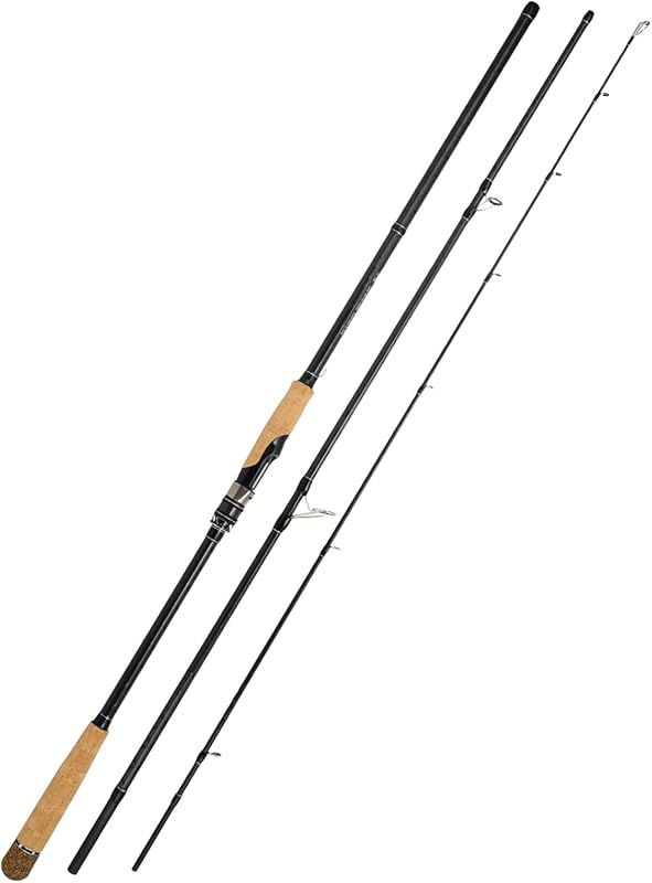 best surf fishing spinning rods