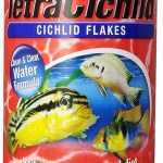 5 Best Fish Food for Guppies: Expert Picks for Vibrant Health