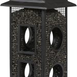 Top 5 Sunflower Seed Bird Feeder for Every Backyard