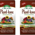 5 Best Fertilizer For Garden: Expert Picks for Thriving Plants