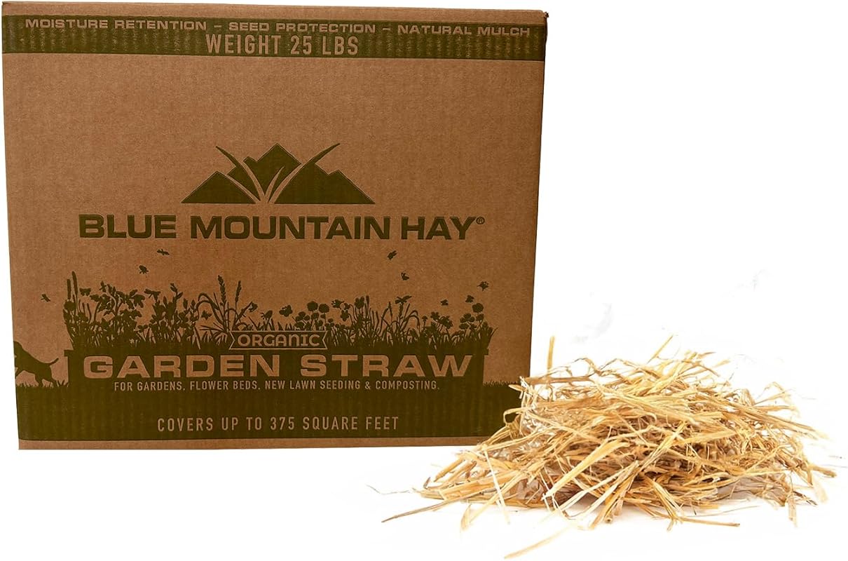 Blue Mountain Hay Organic Garden Straw Mulch for Gardening, Landscapin