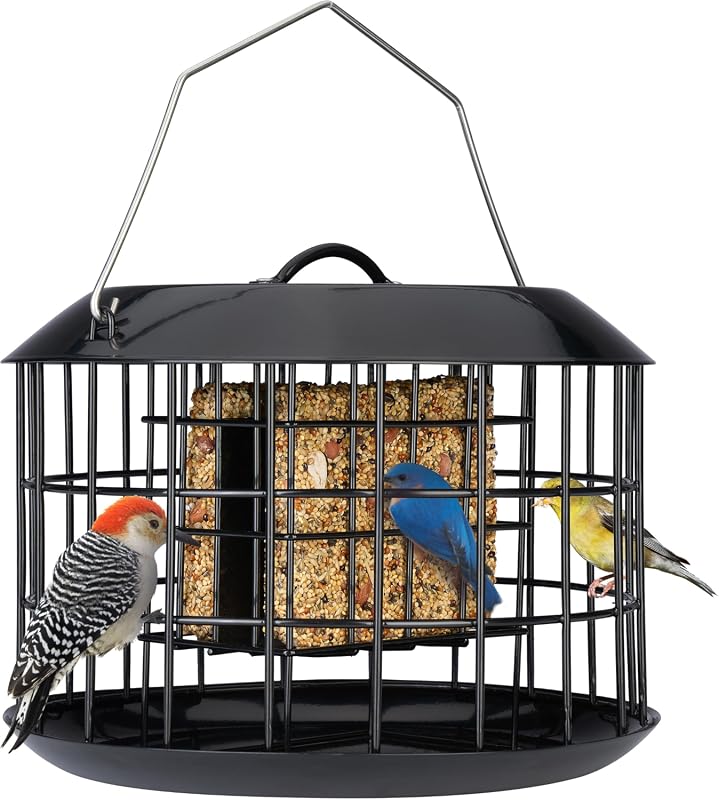 Kingsyard Squirrel Proof Suet Feeder, Metal Double Cake Cage with Weatherproof Tray