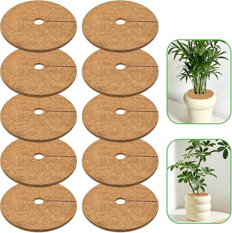 ZeeDix 10 Pack 6-Inch Natural Coconut Fiber Mulch Rings, Coco Coir Tre