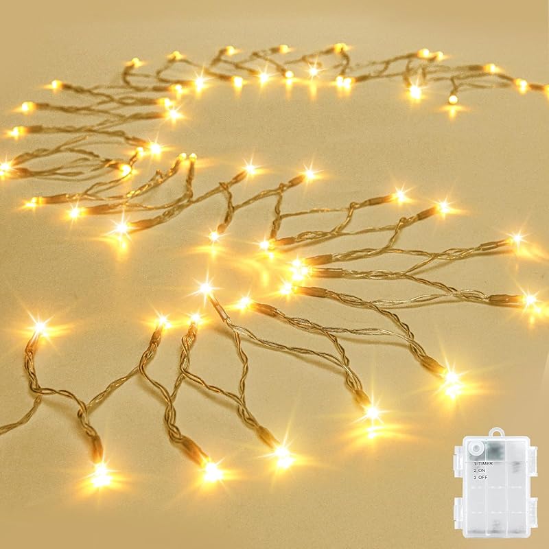 cshare 9.8ft 30 LED Warm White Fairy String Lights, Battery Operated O
