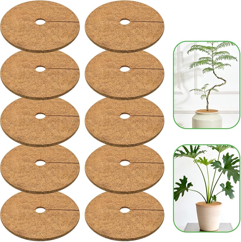 ZeeDix 10-Pack 9-Inch Natural Coco Coir Tree Mulch Rings for Indoor & 