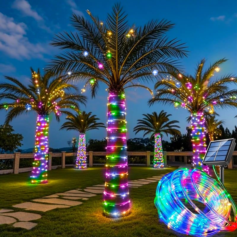 Honche Solar Rope Light 33FT 100LED IP65 Waterproof Outdoor Fairy Ligh