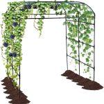 10 Best Climbing Vines for Pergolas That Transform Your Garden