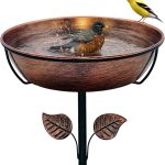 5 Best Bird Baths for Your Garden in 2025