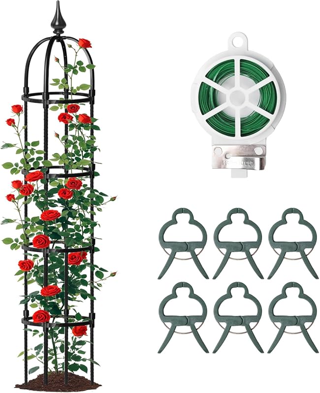 5 Top Trellis for Climbing Plants: Expert Picks for Stunning Gardens