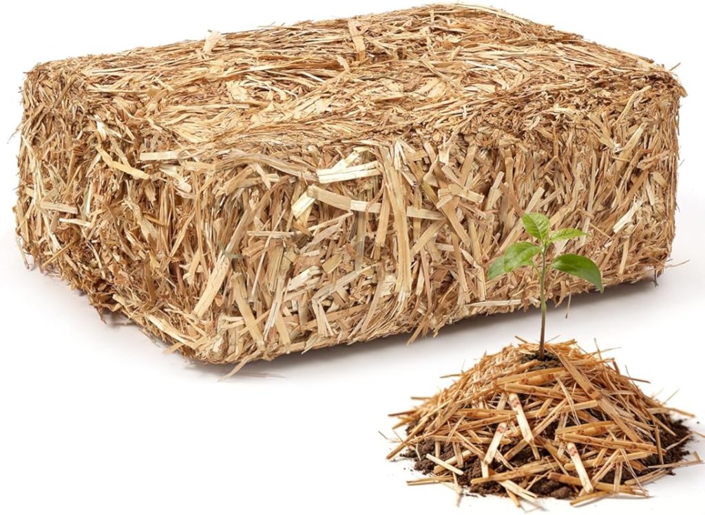 Expert Picks: 10 Best Mulch for Your Vegetable Garden