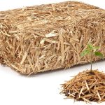 Expert Picks: 10 Best Mulch for Your Vegetable Garden