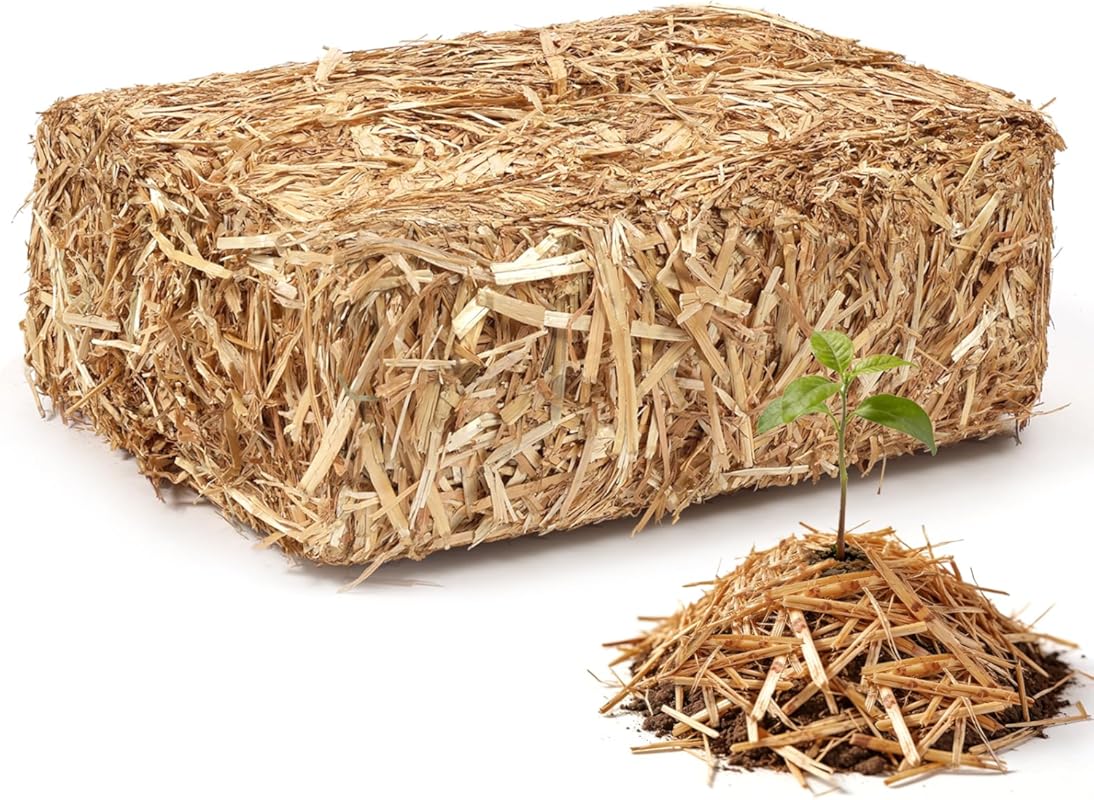 PJT Organic Biodegradable Garden Straw Mulch, 0.5 cu ft, Cleaned & Wee